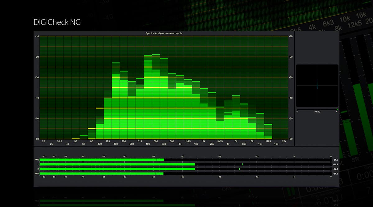 RME DIGICheck NG software recreating the Totalyser mode