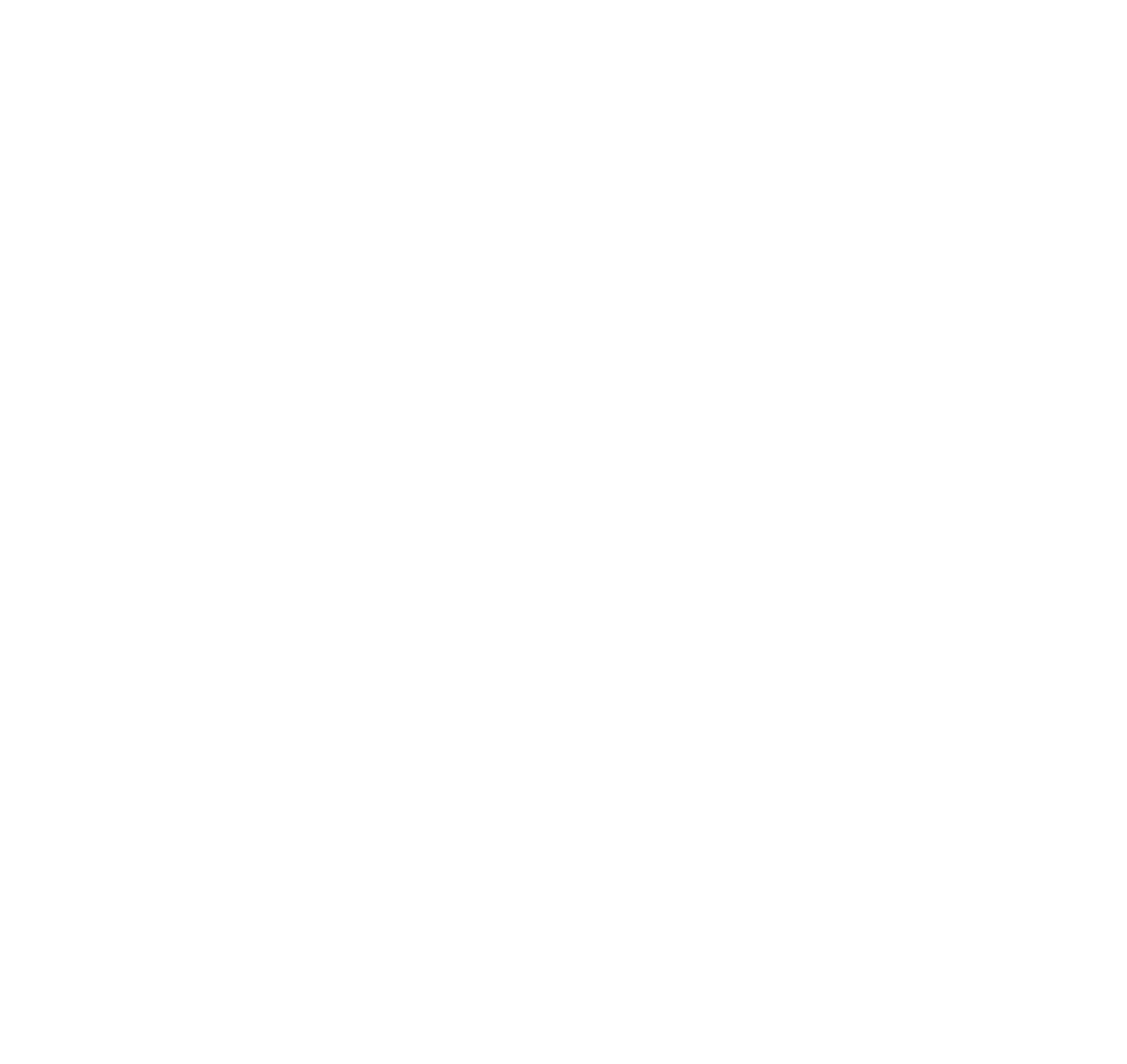Stage-Sound-Services-white