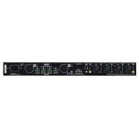 Rear panel of Dynaudio Acoustics Delta 20 amplifier