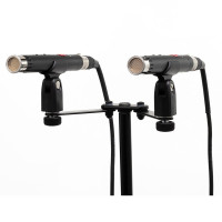 Pair of Lauten Audio LA 120 microphones mounted on microphone stand