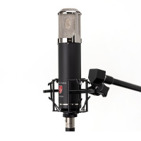 Lauten Audio LA 320 v2 microphone mounted on mic stand